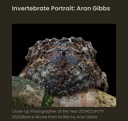 Screenshot from deartline.com