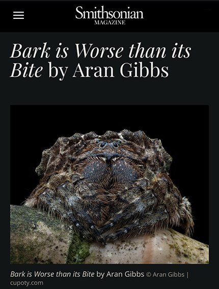 Screenshot from Smithsonian Magazine